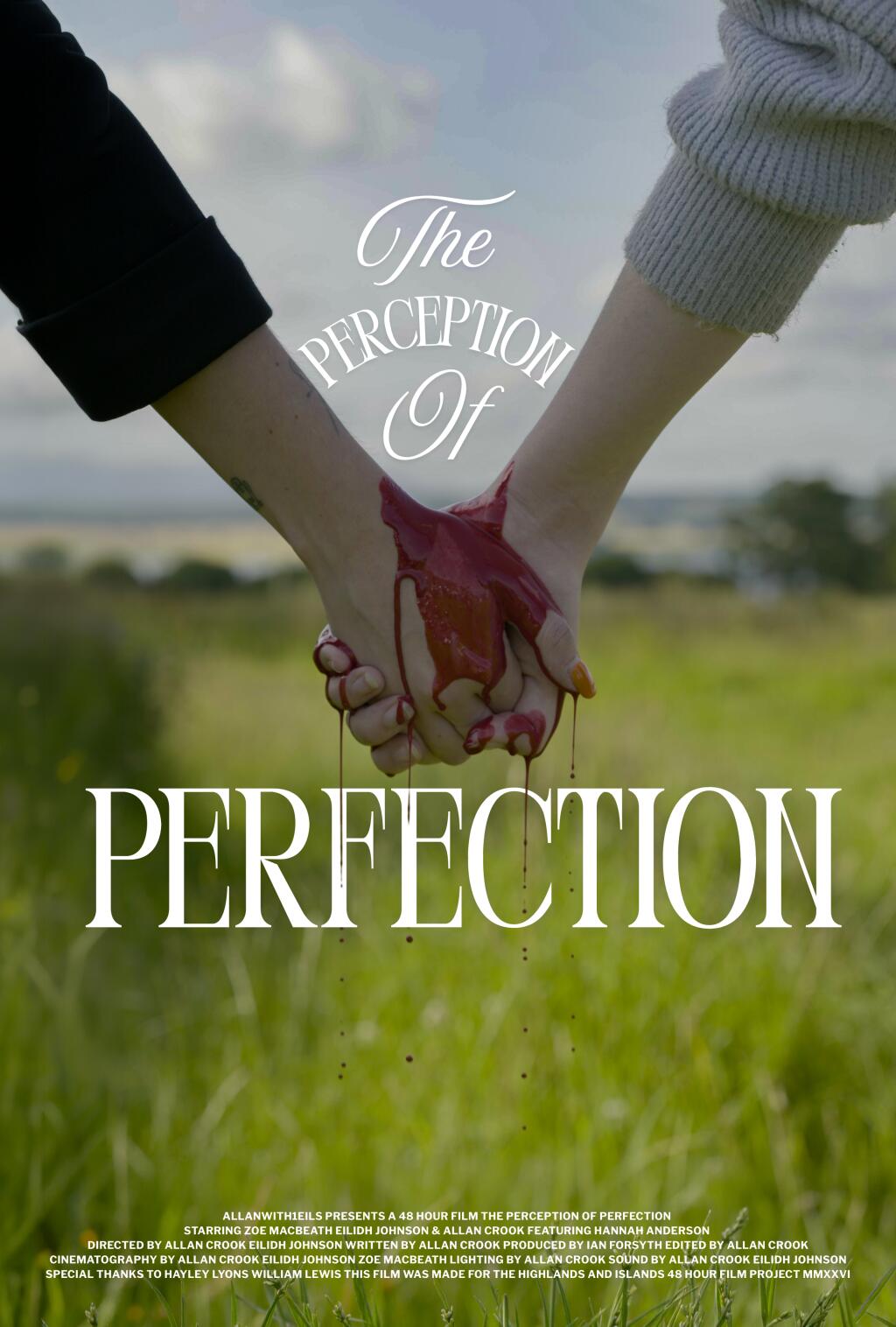 Filmposter for The Perception of Perfection